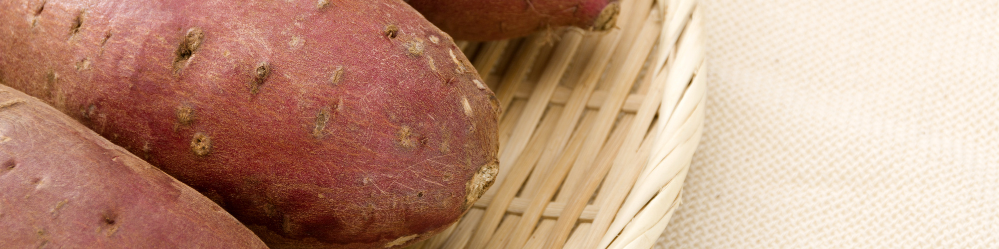 甘藷粉末_さつまいも