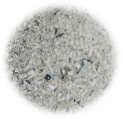 パームアッシュ